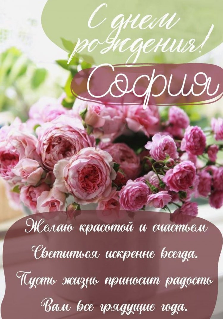 Красивые и оригинальные картинки «С Днем рождения, София!»