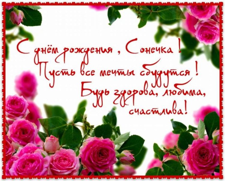 Трогательные открытки и картинки «С Днем рождения, София!»