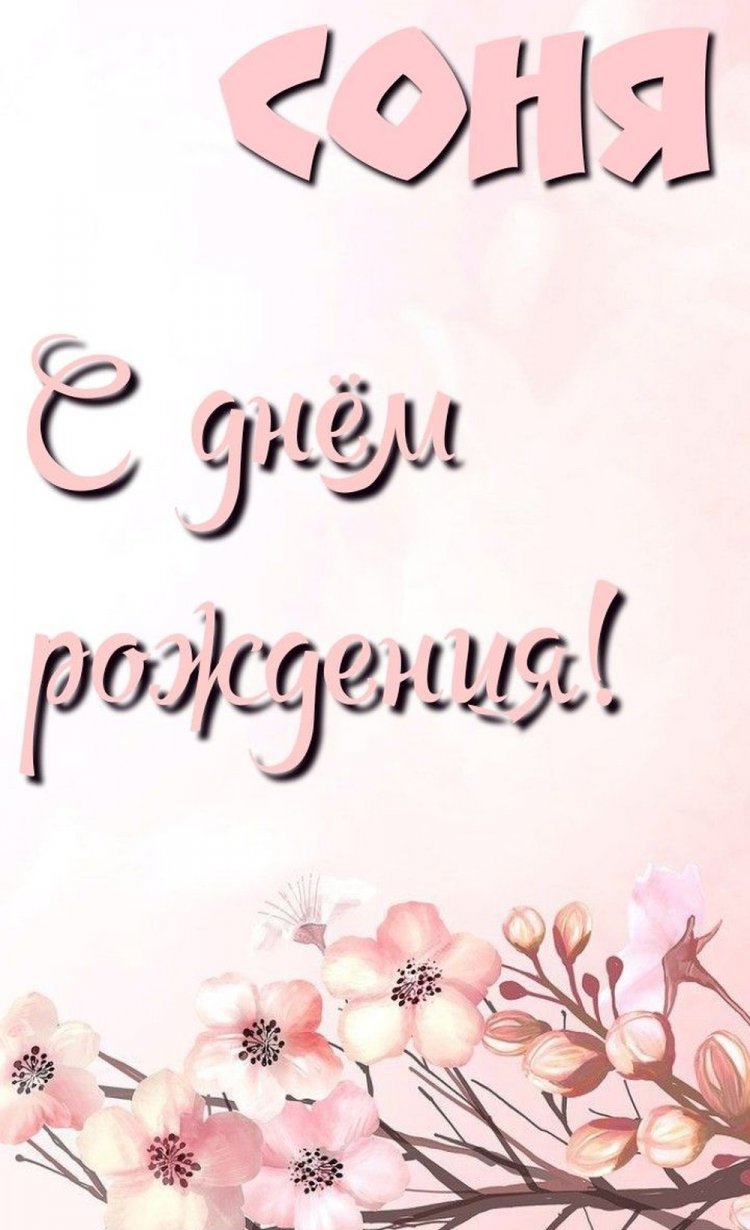 Трогательные открытки и картинки «С Днем рождения, София!»