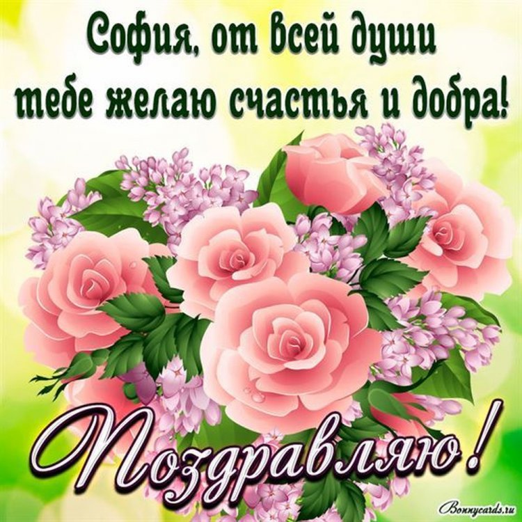 Открытки и картинки «С Днем рождения, София!» на юбилей