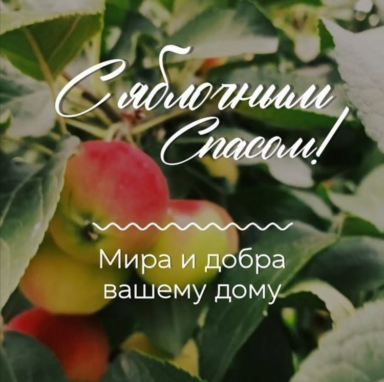 Трогательные открытки и картинки на Яблочный Спас