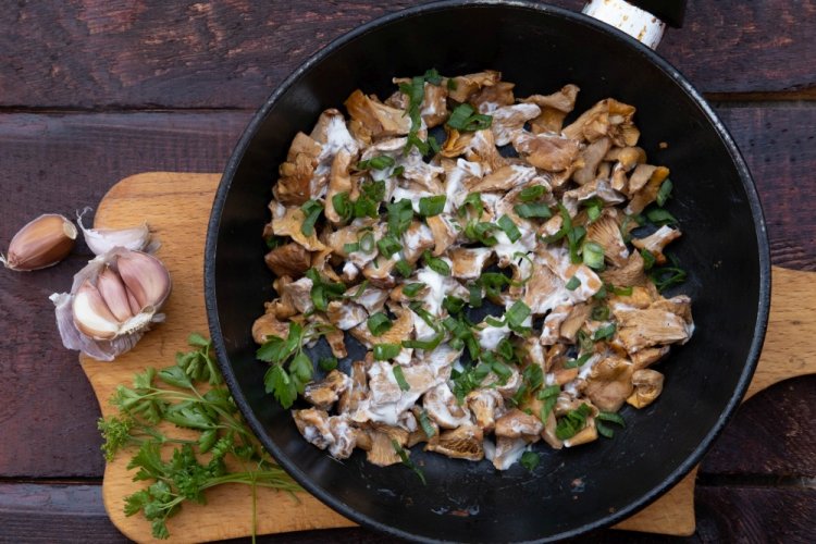 Лисички в сметане без лука