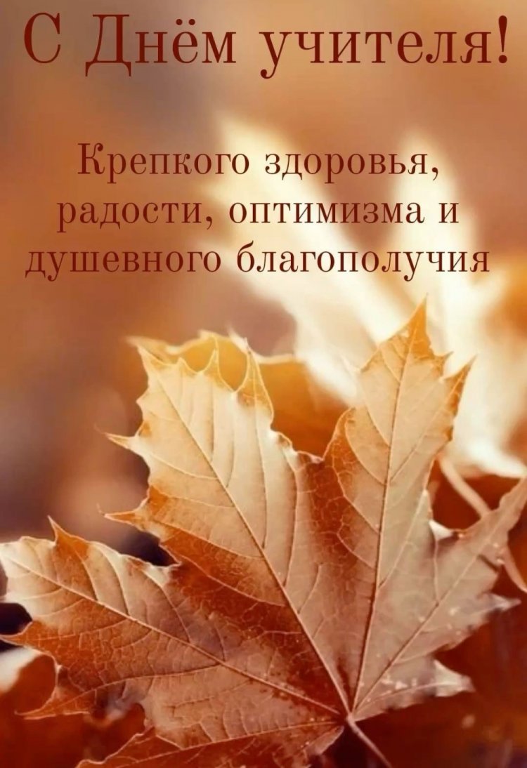 Оригинальные и красивые открытки с Днем учителя