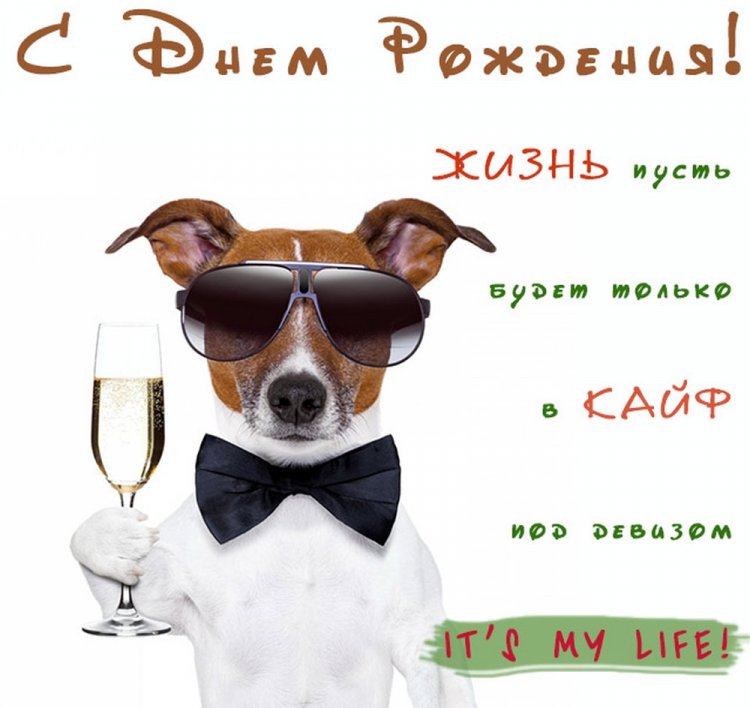 Прикольные открытки и картинки «С Днем рождения!» парню