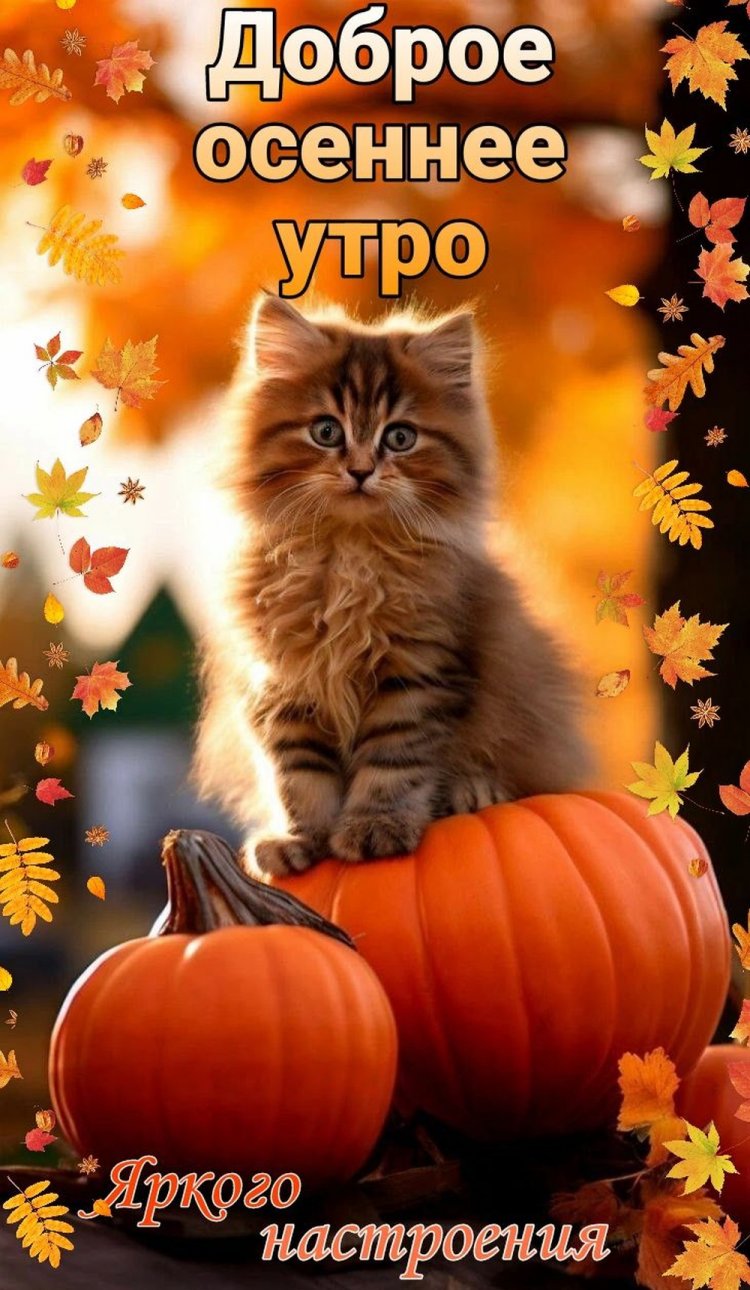 Оригинальные и красивые осенние открытки «Доброе утро!»