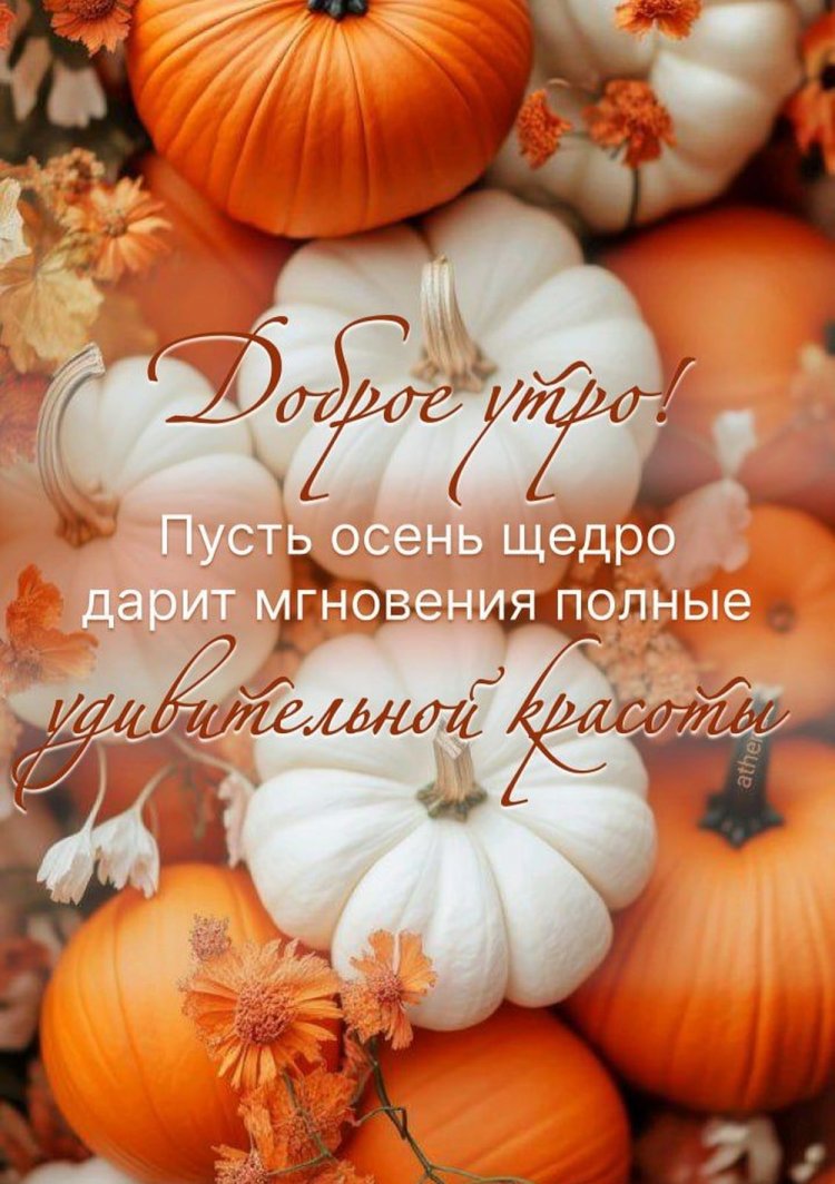 Оригинальные и красивые осенние открытки «Доброе утро!»