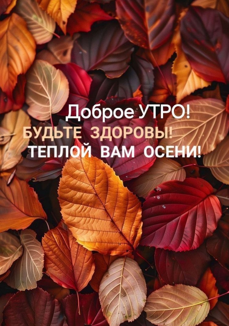 Оригинальные и красивые осенние открытки «Доброе утро!»