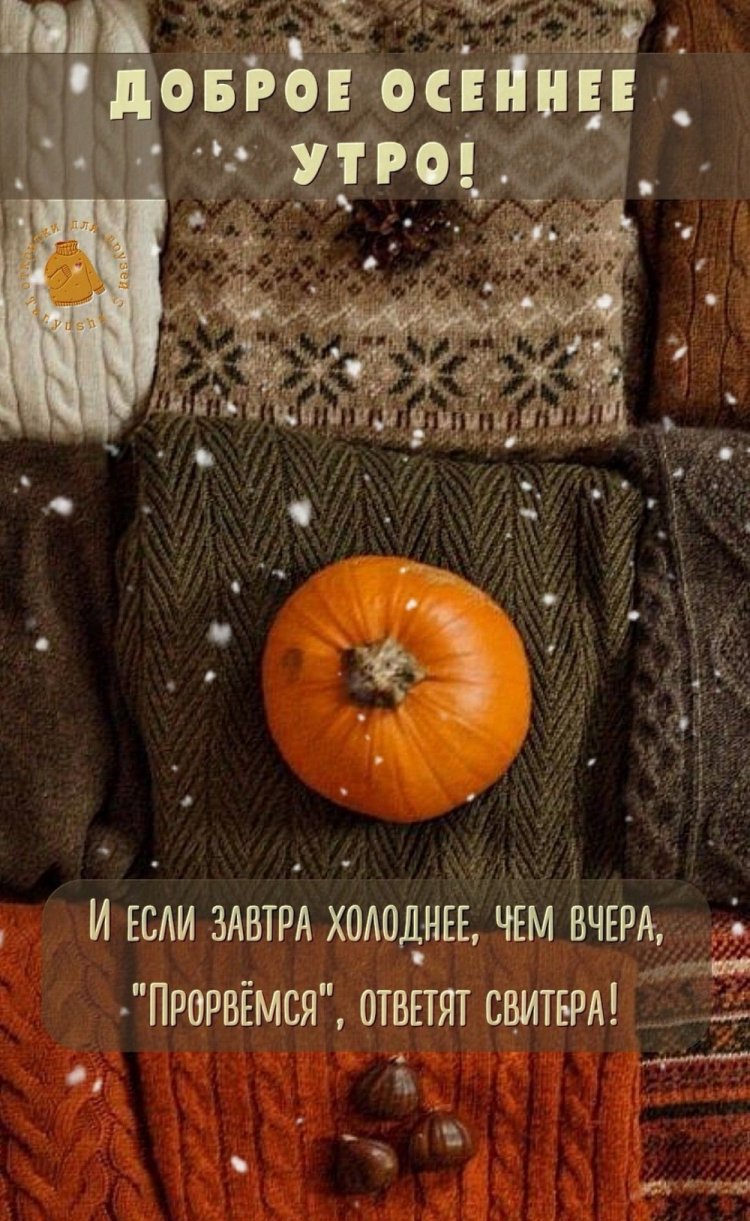 Прикольные осенние открытки и картинки «С добрым утром!»