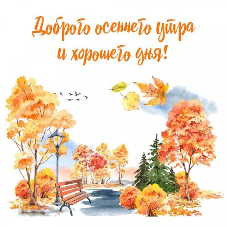 Осенние открытки «С добрым утром и хорошего дня!»