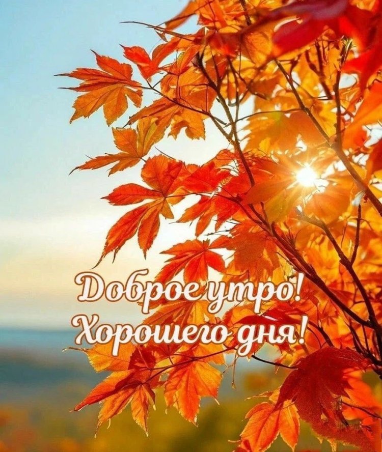 Осенние открытки «С добрым утром и хорошего дня!»