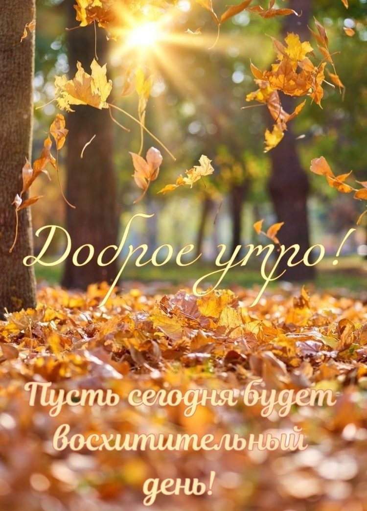 Осенние открытки «С добрым утром и хорошего дня!»