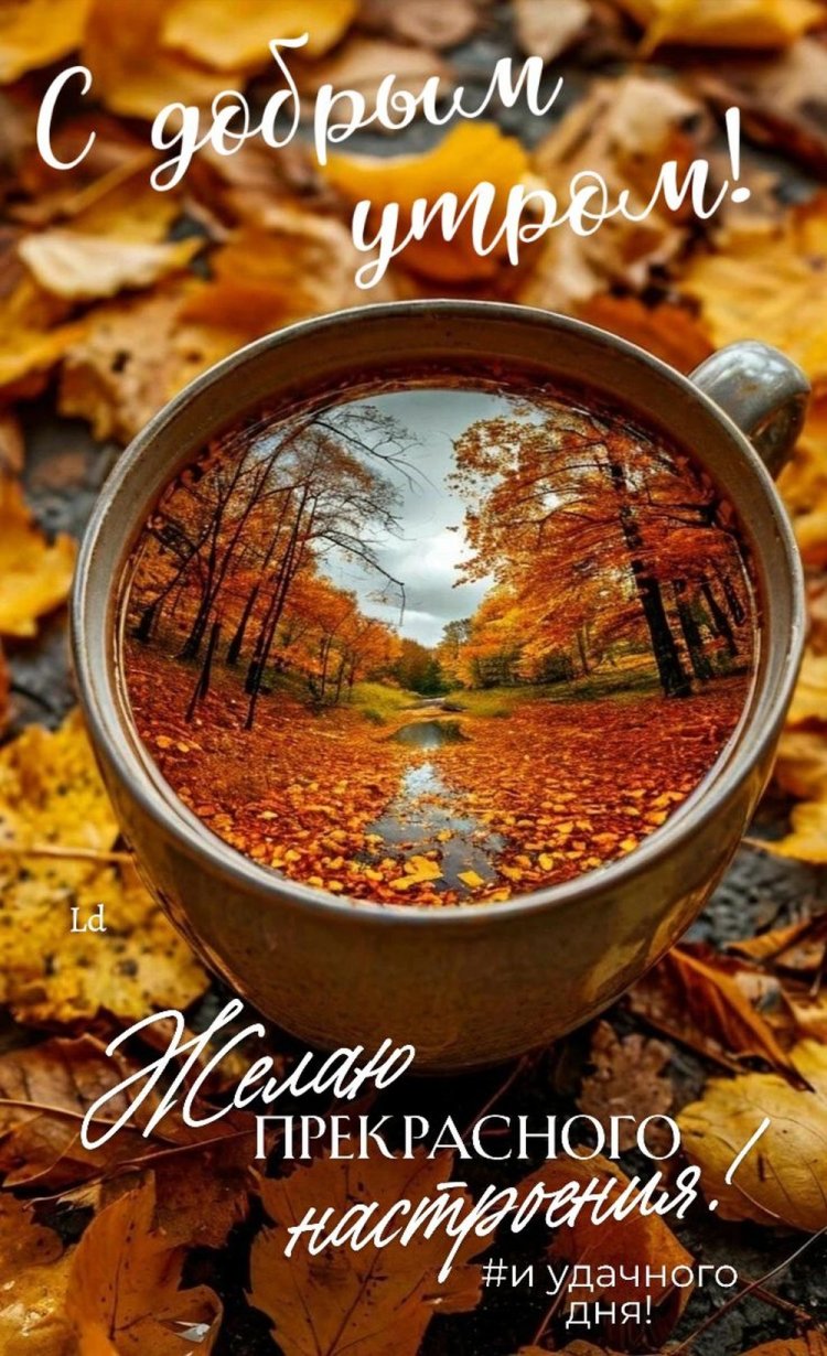 Осенние открытки «С добрым утром!» для мужчины