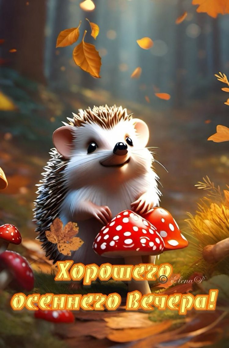 Прикольные осенние открытки «Добрый вечер!»