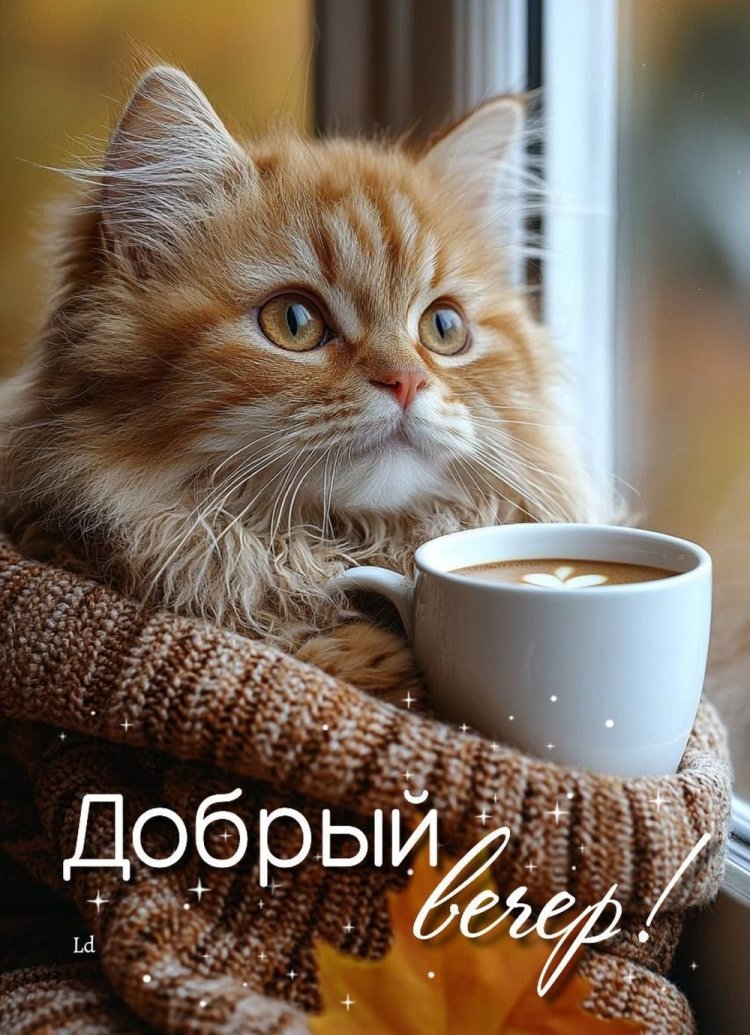 Прикольные осенние открытки «Добрый вечер!»