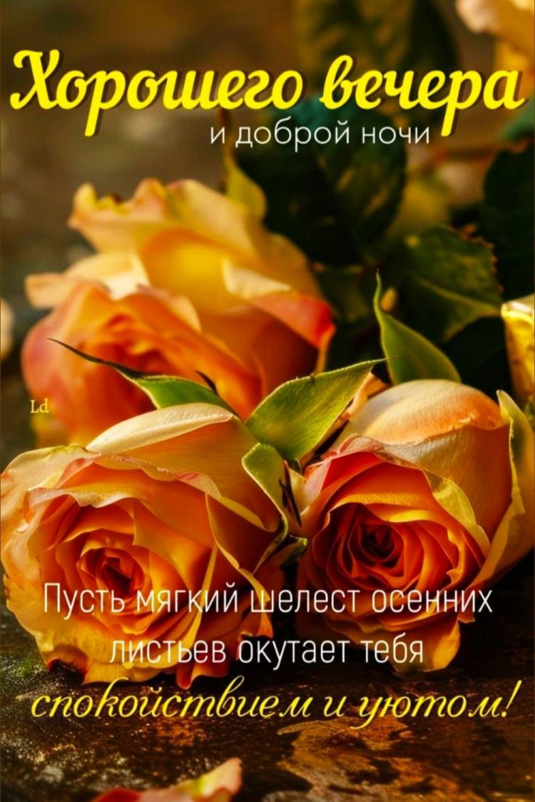 Осенние открытки «Добрый вечер и спокойной ночи!»