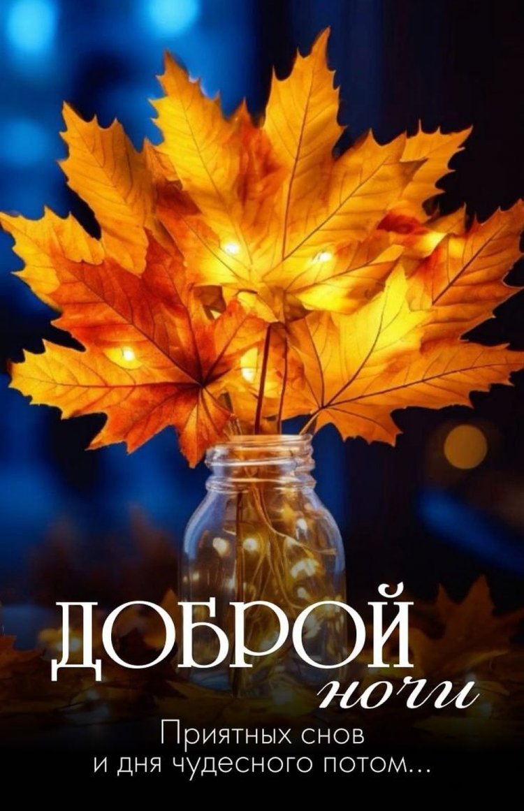 Осенние открытки «Спокойной ночи!» мужчине