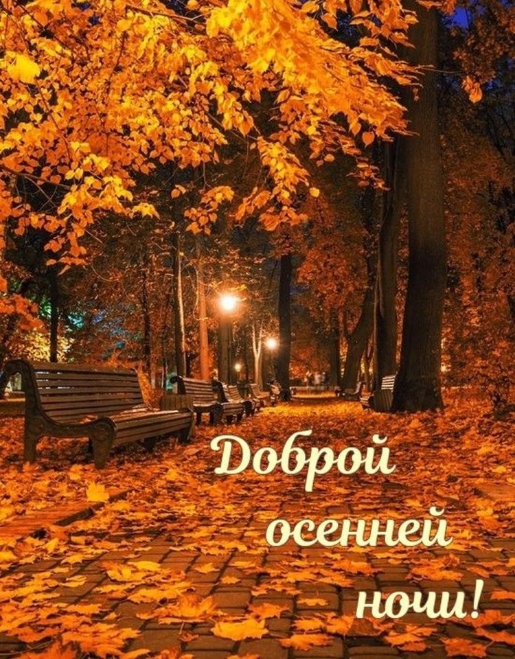 Оригинальные и красивые осенние открытки «Спокойной ночи!»