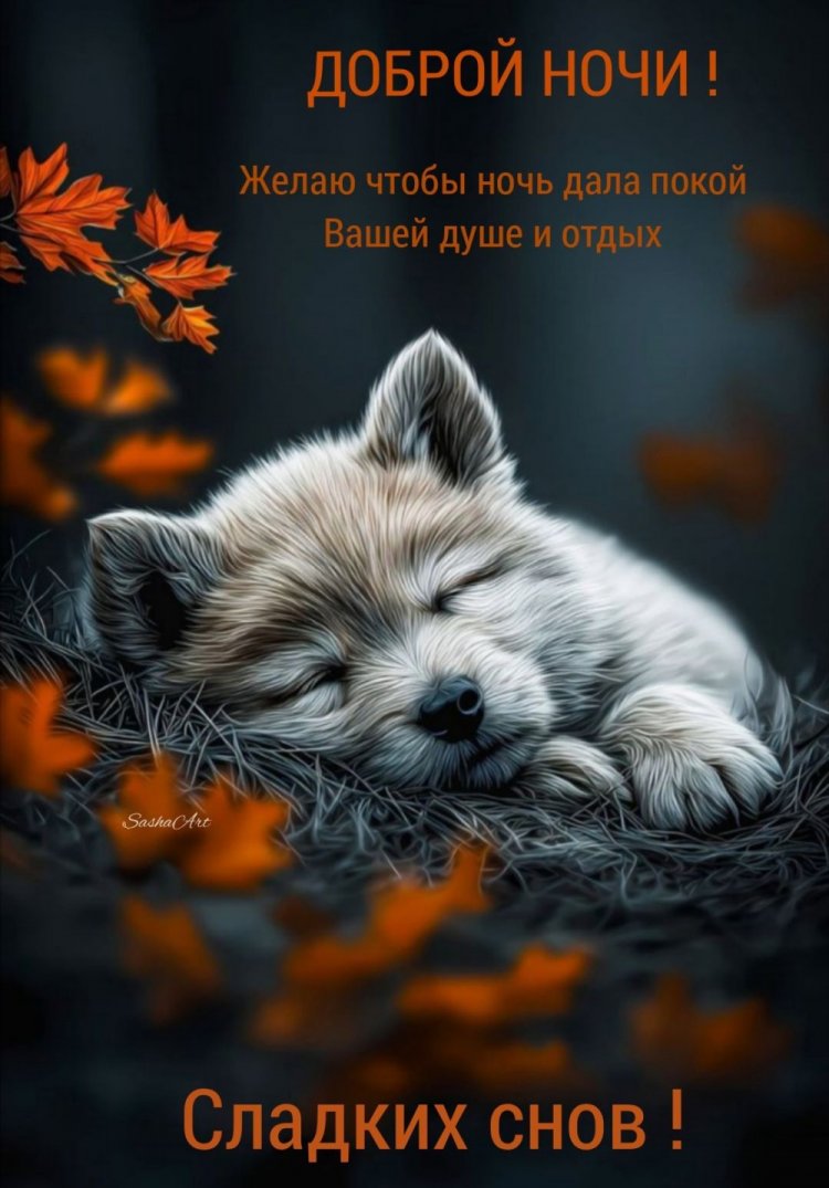 Оригинальные и красивые осенние открытки «Спокойной ночи!»