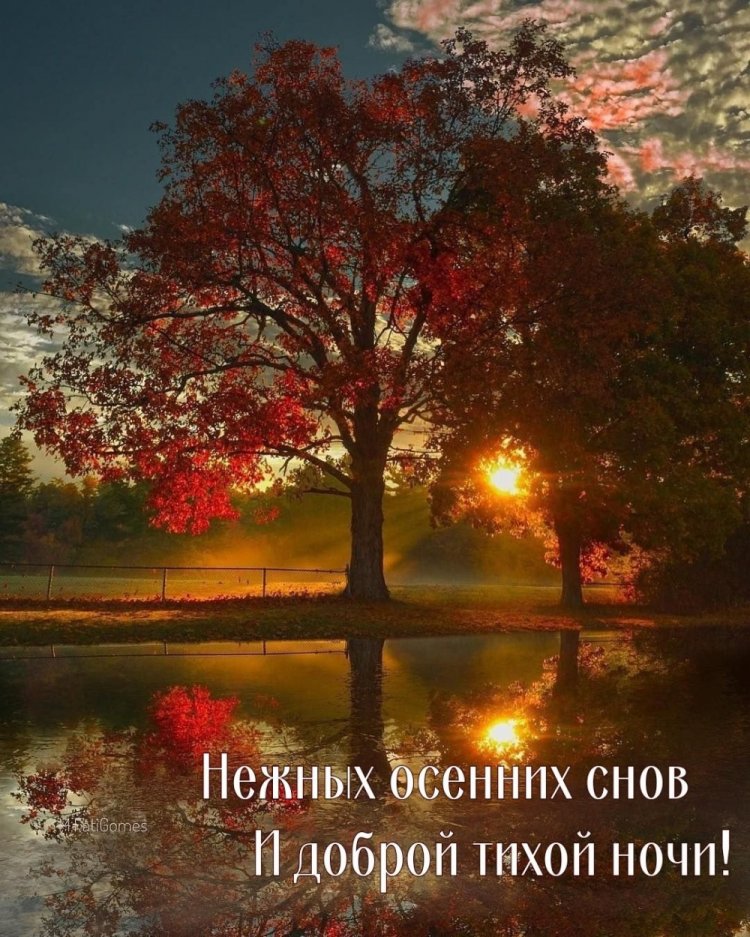 Осенние открытки «Спокойной ночи!» для женщины