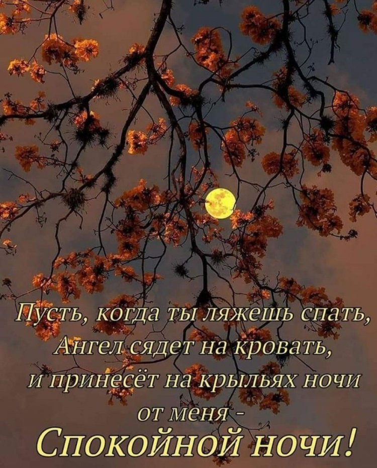 Осенние открытки «Спокойной ночи!» для женщины