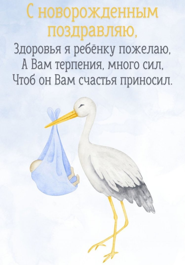 Трогательные и милые открытки «С новорожденным мальчиком!»