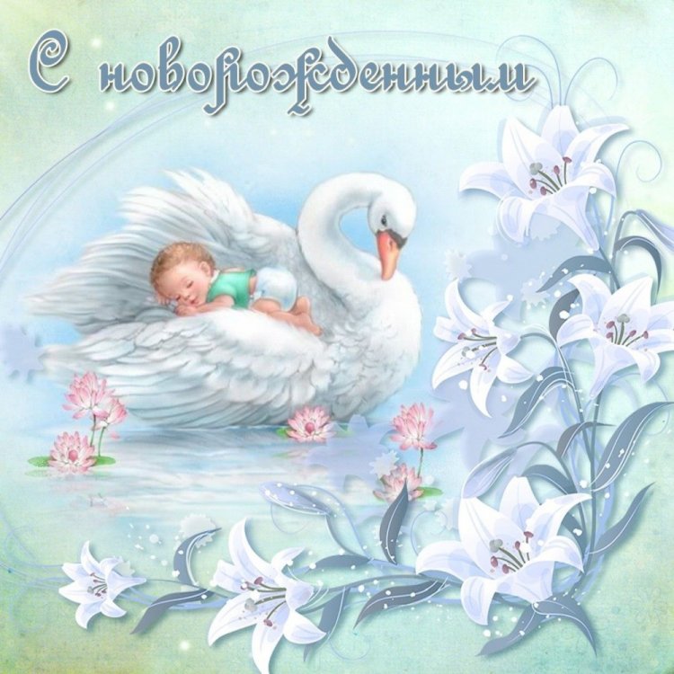 Трогательные и милые открытки «С новорожденным!»