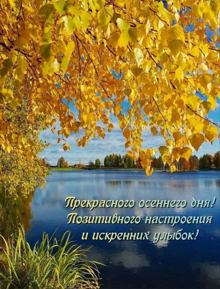 Осенние открытки «Хорошего дня!» для женщины