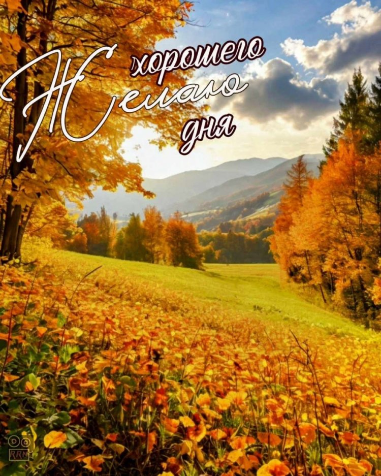 Осенние открытки «Хорошего дня!» мужчине