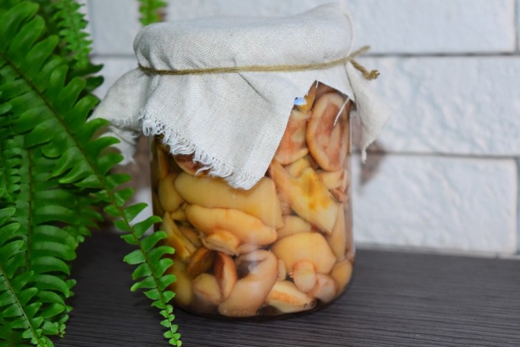 Маринованные синеножки с лимонной кислотой на зиму