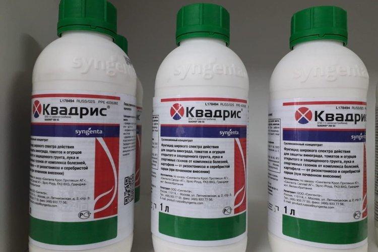 Дозировка и расход фунгицида Квадрис