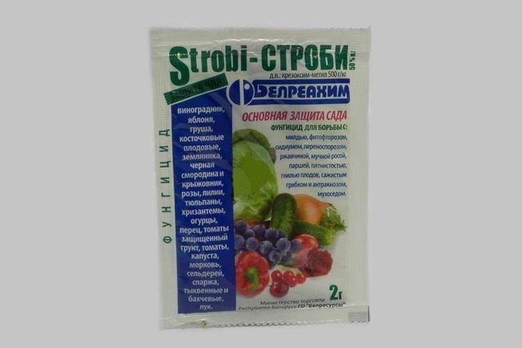 Принцип действия фунгицида Строби