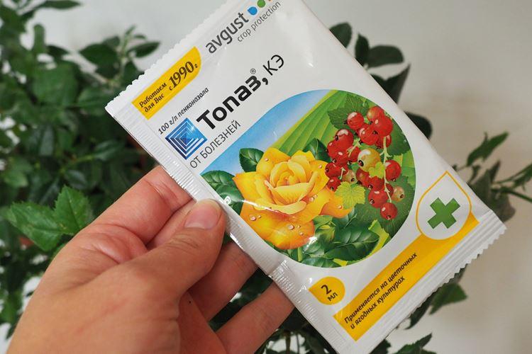 Фунгицид Топаз: описание, инструкция по применению