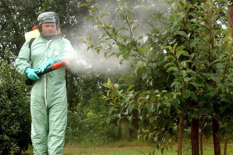 Системные фунгициды для растений - Принцип работы