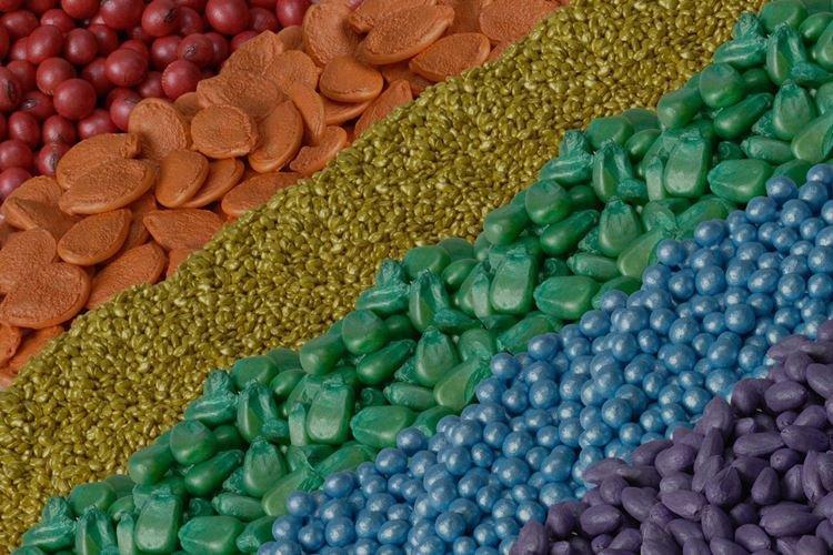 Обработка семян - Применение фунгицидов для растений