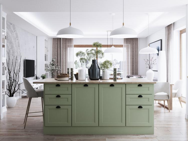 Galanthus: Дизайн кухни-гостиной