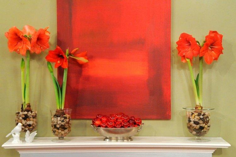 Гиппеаструм - фото