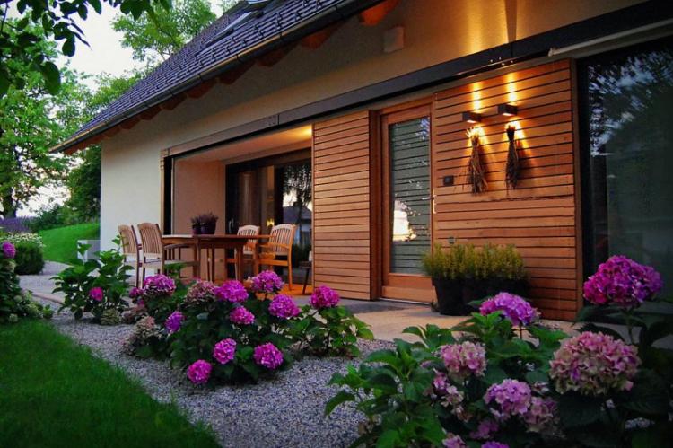 Гортензия - фото