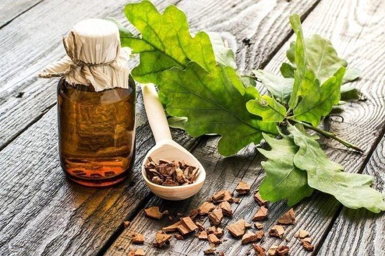 Кора дуба - Как избавиться от прыщей на лице