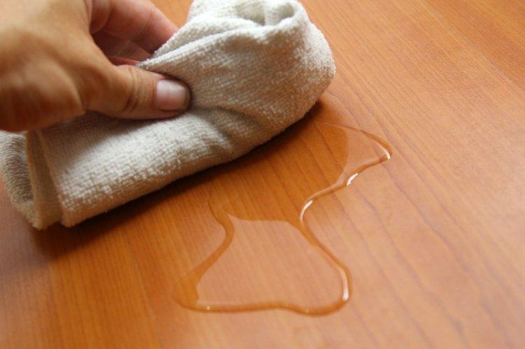 Действуй незамедлительно - Как избавиться от запаха кошачьей мочи в квартире