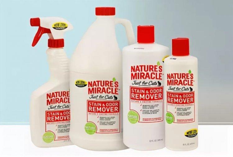 Средства с энзимами - Как избавиться от запаха кошачьей мочи в квартире