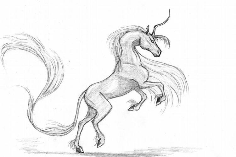 Как нарисовать единорога карандашом