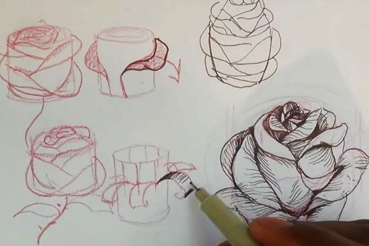 Как нарисовать розу из цилиндра