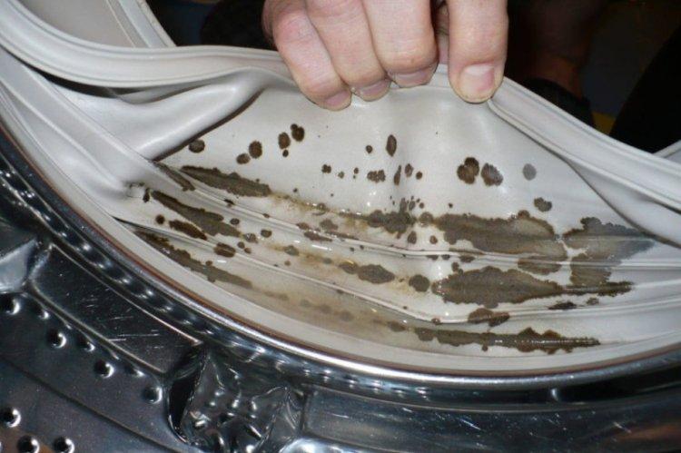 Как почистить манжету стиральной машины