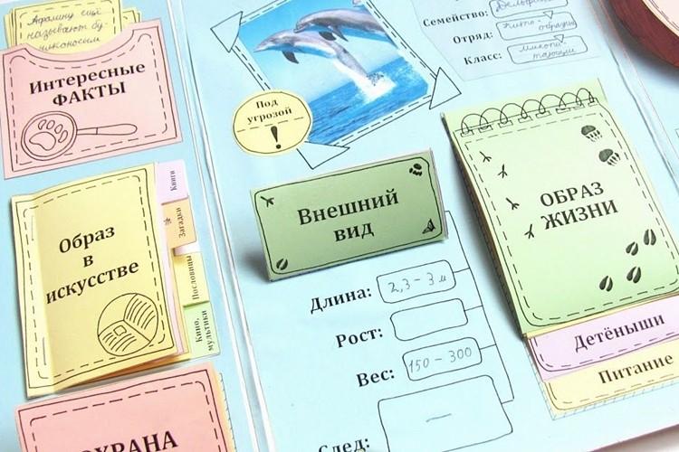 10 идей, как сделать лэпбук своими руками