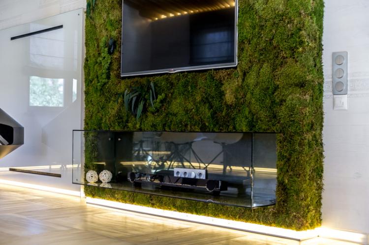 Фитостена - как спрятать провода от телевизора