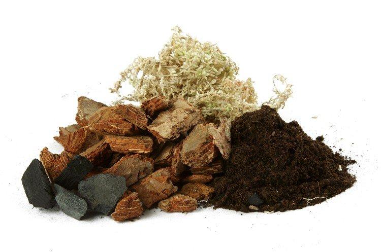 Требования к грунту - Как ухаживать за орхидеей в домашних условиях