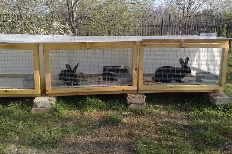 Одноярусные клетки для кроликов своими руками