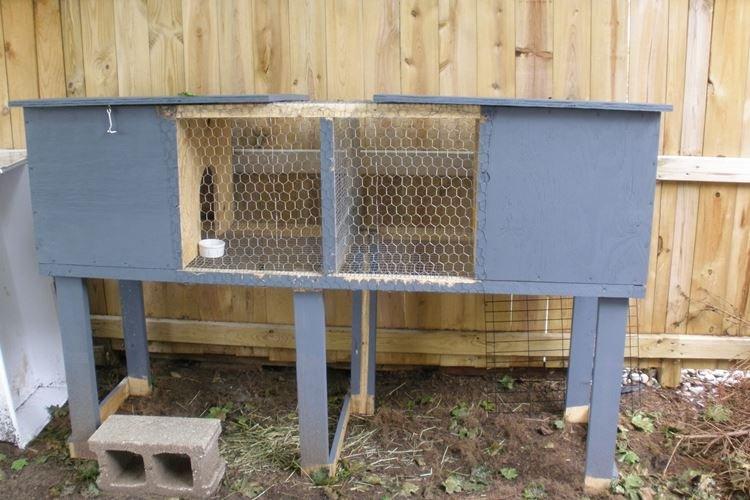 Одноярусные клетки для кроликов своими руками