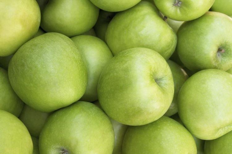 Почва - Уход за колоновидной яблоней Президент