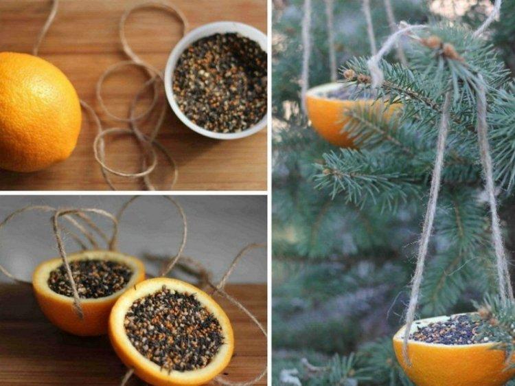 Съедобные кормушки для птиц своими руками